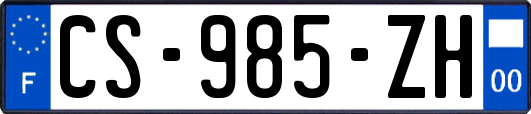 CS-985-ZH