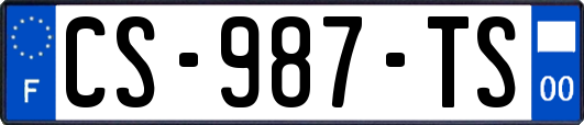 CS-987-TS