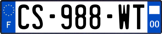 CS-988-WT