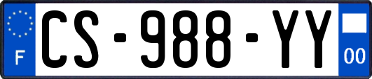 CS-988-YY