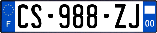 CS-988-ZJ