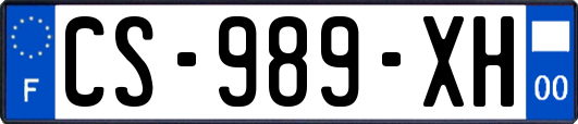 CS-989-XH