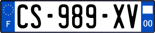 CS-989-XV