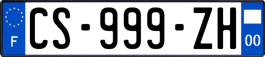 CS-999-ZH