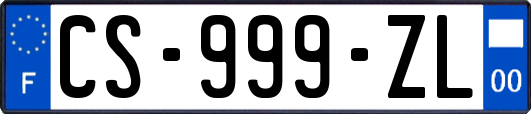 CS-999-ZL