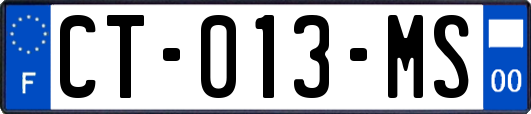 CT-013-MS