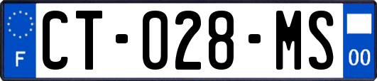 CT-028-MS