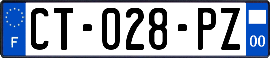 CT-028-PZ