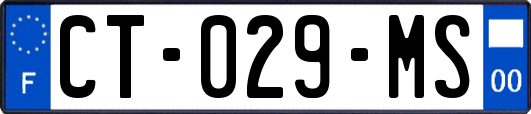 CT-029-MS