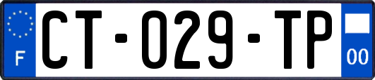 CT-029-TP