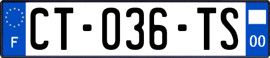 CT-036-TS