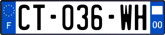 CT-036-WH