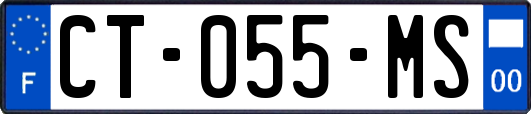 CT-055-MS