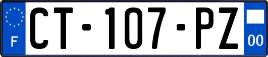 CT-107-PZ