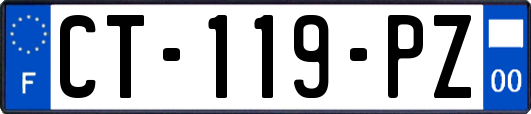 CT-119-PZ