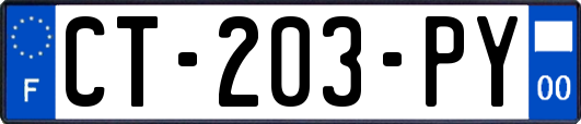 CT-203-PY