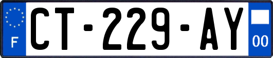 CT-229-AY