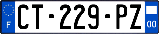 CT-229-PZ
