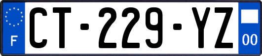 CT-229-YZ