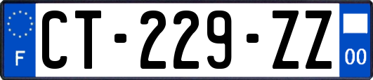 CT-229-ZZ