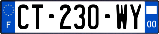 CT-230-WY