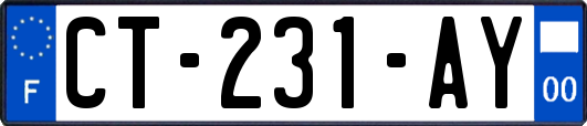 CT-231-AY