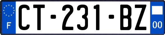 CT-231-BZ