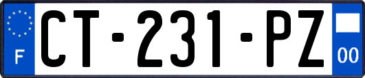 CT-231-PZ