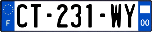 CT-231-WY