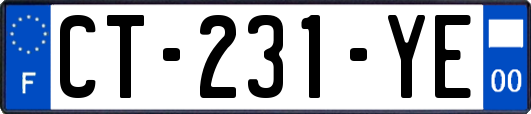 CT-231-YE