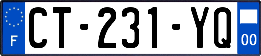 CT-231-YQ