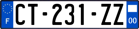 CT-231-ZZ