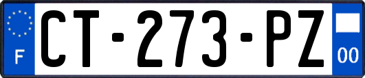 CT-273-PZ