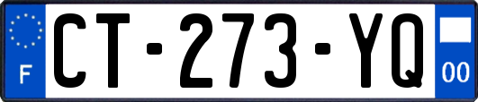 CT-273-YQ