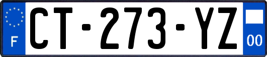 CT-273-YZ