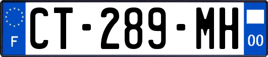 CT-289-MH