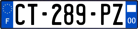 CT-289-PZ