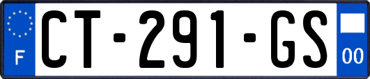 CT-291-GS