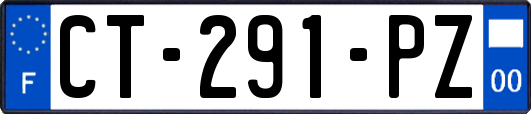 CT-291-PZ