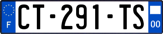 CT-291-TS