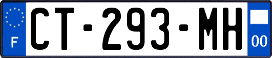 CT-293-MH