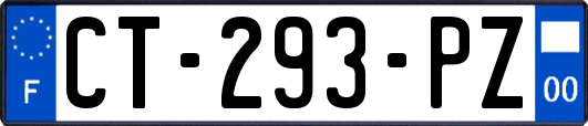 CT-293-PZ