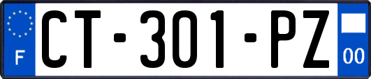 CT-301-PZ
