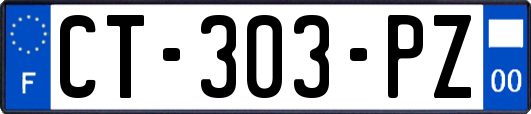 CT-303-PZ