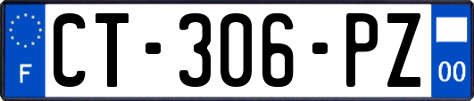 CT-306-PZ