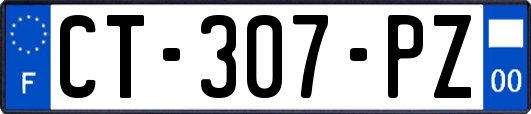 CT-307-PZ