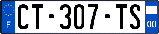 CT-307-TS