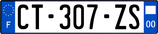 CT-307-ZS