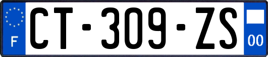 CT-309-ZS