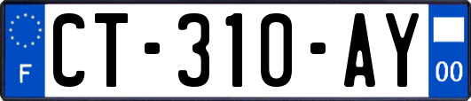 CT-310-AY